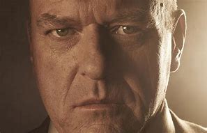 Image result for Uncle Hank Breaking Bad