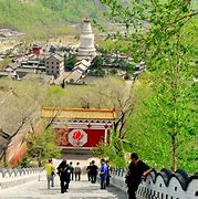 Image result for Wutai Buddhist Temple