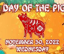 Image result for Wednesday Pig Meme