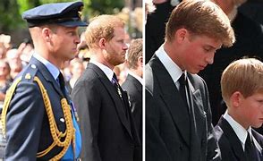 Image result for Prince Harry and William Funeral