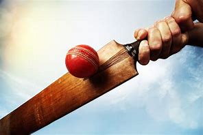 Image result for Bat Ball Cricket Games