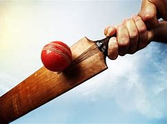 Image result for Cool Cricket Bat