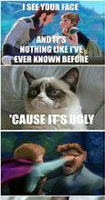 Image result for Grumpy Cat and Disney Funny