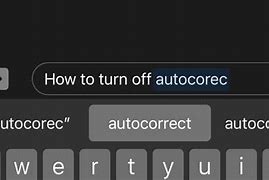 Image result for AutoCorrect Settings iPhone