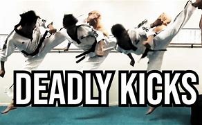 Image result for Deadly Martial Arts Kicks