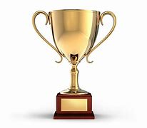 Image result for Gold Award Trophy