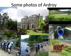 Image result for adroy