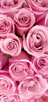 Image result for Girly iPhone Wallpaper Flower