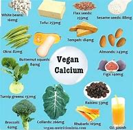 Image result for Vegan Food List