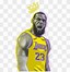 Image result for LeBron 23