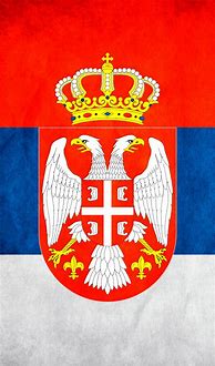 Image result for Argentina Serbia Flag