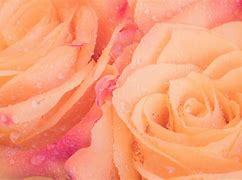 Image result for Rose Gold Vintage Wallpaper Desktop