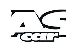 Image result for Fast Car Logo