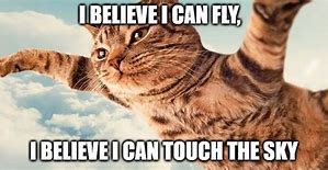 Image result for Flying Cat Ball Meme