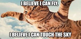 Image result for Flying Animals Meme