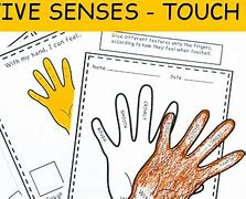 Image result for Sense of Touch Craft for Kids