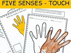 Image result for 5 Senses Touch Crafts