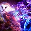 Image result for Galaxy Wallpaper Cute and Owl