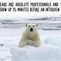 Image result for Random Animal Facts