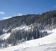Image result for Igman Sume