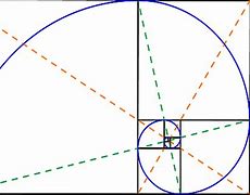 Image result for Golden Ratio Overlay