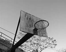 Image result for Professional Basketball Hoop