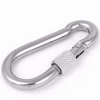 Image result for Large Heavy Duty Carabiner