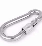 Image result for Carabiner Snap Hook Clips