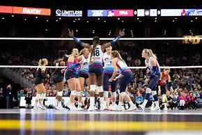 Image result for Volleyball Federation