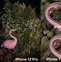 Image result for Show Me the iPhone 12 Pro Max