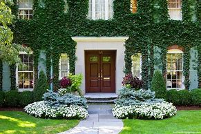 Image result for House with Vines