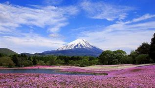 Image result for The Beautiful Places Visit in Yamanashi Japan
