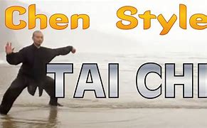 Image result for Chen Style Tai Chi Movements