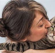 Image result for Single Cat Lady