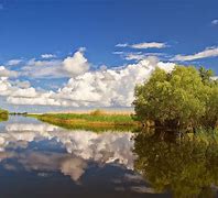 Image result for Danube Delta