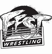 Image result for Pro Wrestling Logo