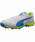 Image result for Puma India Cricket