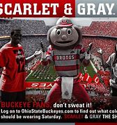 Image result for Buckeye Rookie of the Year