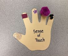 Image result for Senses Activities for Preschoolers