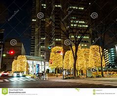 Image result for Japan Night Wieve