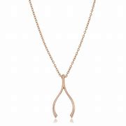 Image result for Wishbone Necklace