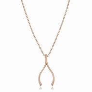 Image result for Wishbone Necklace