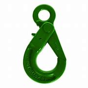 Image result for Locking Chain Hook