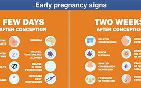 Image result for What Does Cm Look Like in Early Pregnancy