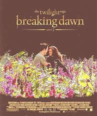 Image result for Breaking Dawn Book Cover
