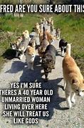 Image result for Funny Cat Lady Sayings