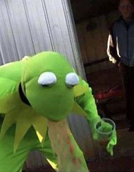 Image result for Cursed Kermit Costume