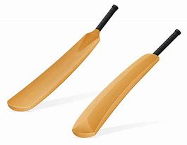 Image result for Cricket Bat Vector