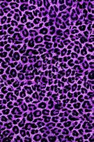 Image result for Spring Leopard Print Background