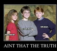 Image result for Harry Potter Memes Funny Kids